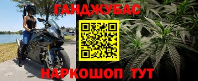 прущие грибы Кандалакша