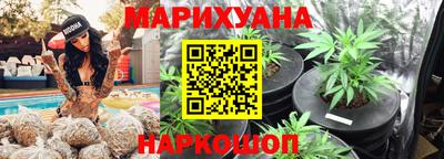 прущие грибы Кандалакша