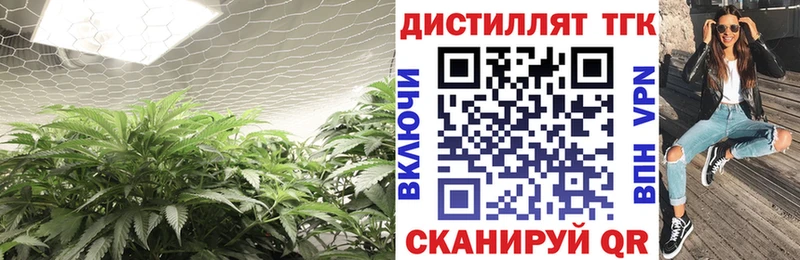 Дистиллят ТГК THC oil  даркнет сайт  Тольятти 