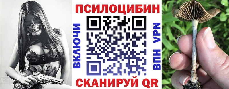 Псилоцибиновые грибы ЛСД Тольятти