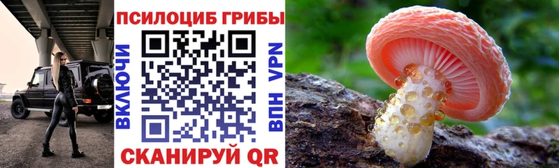 ОМГ ОМГ рабочий сайт  Тольятти  Псилоцибиновые грибы MAGIC MUSHROOMS 